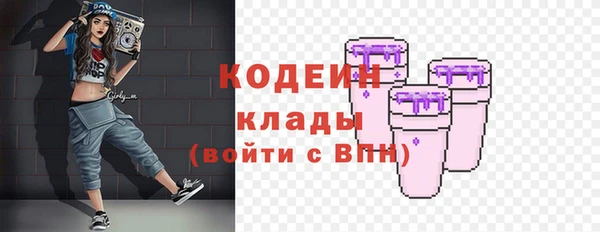соль ск Арсеньев
