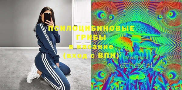ECSTASY Алзамай