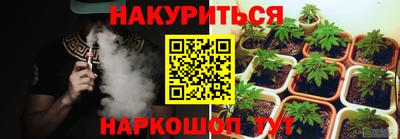 ПСИЛОЦИБИНОВЫЕ ГРИБЫ Гатчина