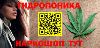ПСИЛОЦИБИНОВЫЕ ГРИБЫ Гатчина