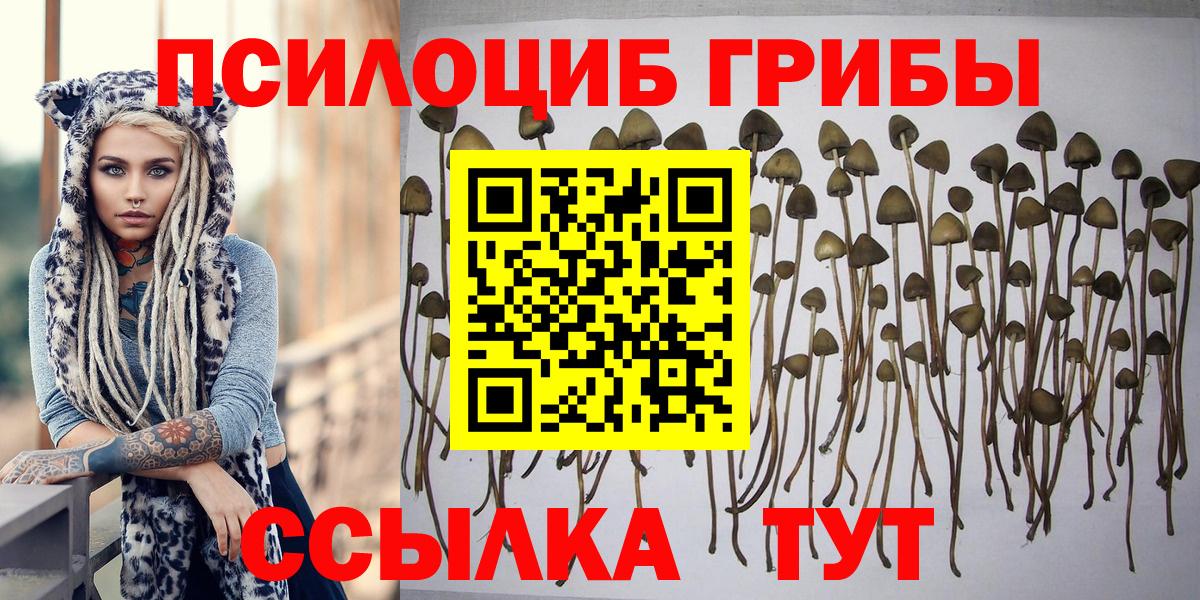 Галлюциногенные грибы мухоморы  Вход с VPN  Набережные Челны 